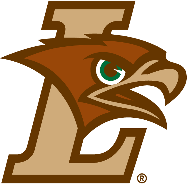 Lehigh Mountain Hawks 2004-Pres Primary Logo iron on transfers for clothing